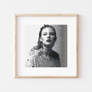 Cross stitch of the Reputation album cover.